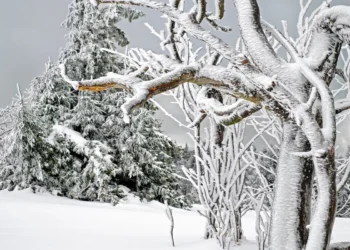 Mareggiata e nubi cariche di neve per il maltempo Sicilia