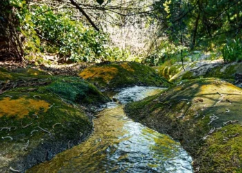 Lions Club Ragusa alla scoperta delle radici idriche: come aderire
