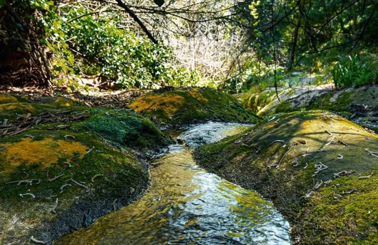 Lions Club Ragusa alla scoperta delle radici idriche: come aderire
