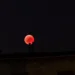 Luna di sangue il 3 marzo: eclissi totale
