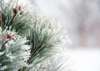 Meteo freddo in arrivo: aria dai Balcani colpo di coda invernale