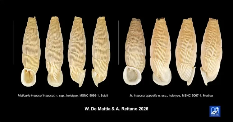 Omaggio al Direttore Scientifico del Museo Civico di Storia Naturale di Comiso