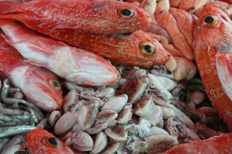 Scoglitti, 300 mila euro per il mercato del pesce nel porto