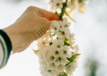 Primo giorno di primavera 2026, ecco cosa succede oggi