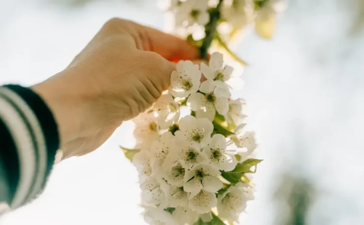 Primo giorno di primavera 2026, ecco cosa succede oggi