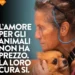 Ragusa, campagna Lav per Iva giusta su cibo per animali e spese veterinarie
