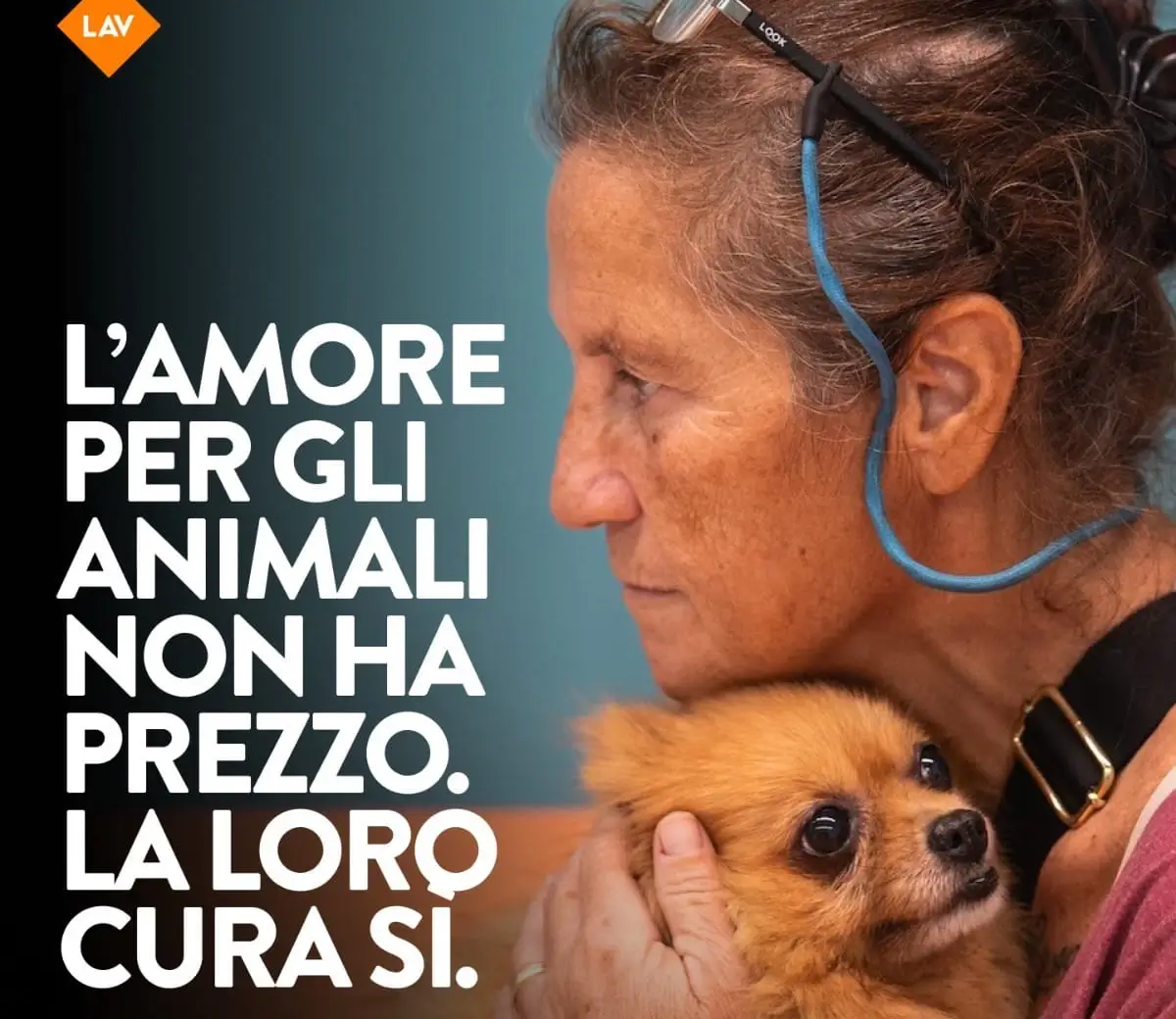 Ragusa, campagna Lav per Iva giusta su cibo per animali e spese veterinarie