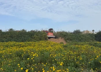 Ragusa, in corso la pulizia del torrente Mistretta a Punta Braccetto