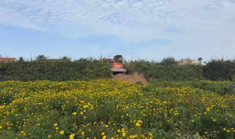 Ragusa, in corso la pulizia del torrente Mistretta a Punta Braccetto