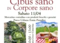 Attività all'aperto e mercatino contadino durante l'evento Cibus sano in Corpore sano a Santa Croce Camerina.