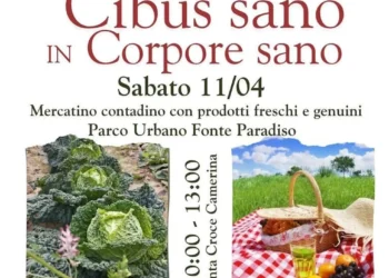 Attività all'aperto e mercatino contadino durante l'evento Cibus sano in Corpore sano a Santa Croce Camerina.