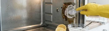 Applicazione di pasta di bicarbonato per pulire un forno incrostato