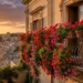 Splendidi gerani rossi e rosa in piena fioritura su un balcone assolato