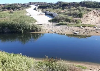 Paesaggio naturale della foce del fiume Ippari e dell'ecosistema di Cammarana