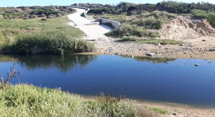 Paesaggio naturale della foce del fiume Ippari e dell'ecosistema di Cammarana
