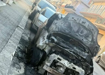 Auto distrutta dalle fiamme in Via dei Mirti a Ragusa