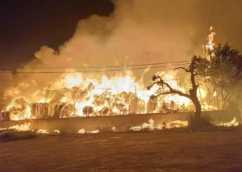 Vigili del Fuoco impegnati a spegnere l'incendio all'azienda Ortoimballaggi di Santa Croce Camerina