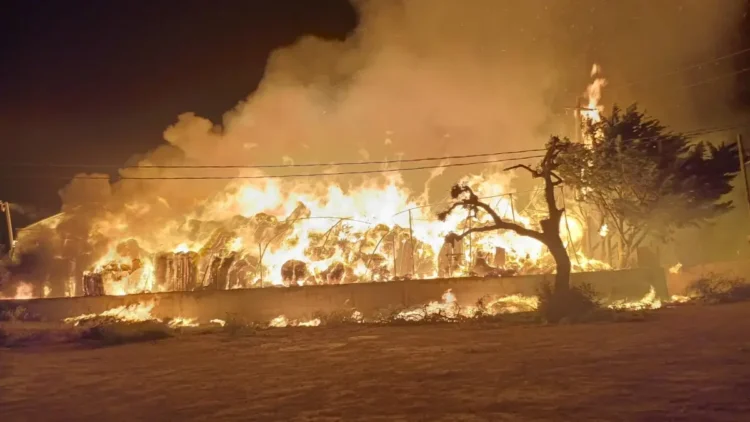 Vigili del Fuoco impegnati a spegnere l'incendio all'azienda Ortoimballaggi di Santa Croce Camerina