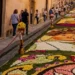 infiorata-noto-2026-via-nicolaci-opere-floreali.webp
