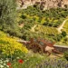 Cielo nuvoloso sulla Sicilia con schiarite in arrivo per Pasqua e Pasquetta 2026