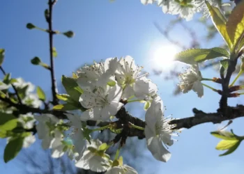 Cielo sereno con poche nuvole sopra la costa siciliana per le previsioni meteo per Pasqua.
