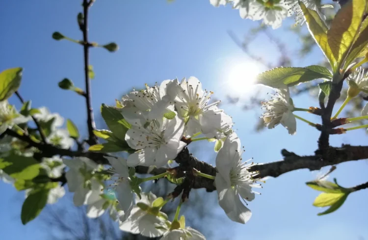 Cielo sereno con poche nuvole sopra la costa siciliana per le previsioni meteo per Pasqua.