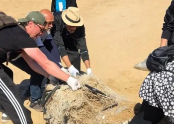 Gruppo di volontari impegnati nella rimozione di rifiuti e nella pulizia della borgata di Bruca a Scicli