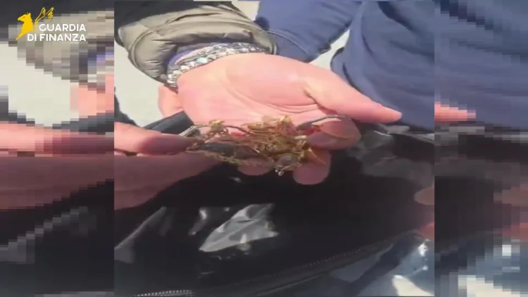 Gioielli e orologi d'oro recuperati dalla Guardia di Finanza dopo una truffa ad anziani a Palermo