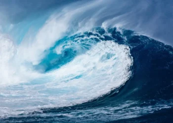 Onde anomale si avvicinano alle barriere costiere in Giappone dopo il terremoto di magnitudo 7.5.