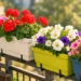 balcone fiorito con gerani e surfinie primavera 2026 fioriere ringhiera