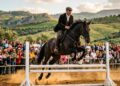 Cavaliere in gara al Concorso di Salto a Ostacoli durante la Fiera Mediterranea del Cavallo alla Tenuta Ambelia di Militello Val di Catania