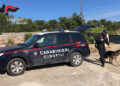 Controlli antidroga a Ispica dei Carabinieri durante operazione contro lo spaccio