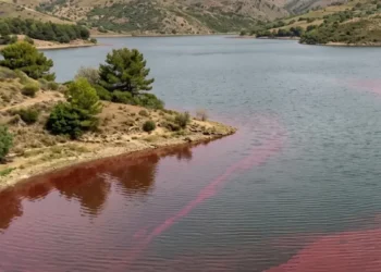 Colorazione rossa delle acque del lago Dirillo a Licodia Eubea durante la fioritura algale.