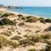 Le dune costiere di Ragusa protette dal Piano di Utilizzo delle Aree Demaniali Marittime