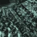 Orchestra del Teatro Massimo Bellini di Catania si esibisce al Teatro Garibaldi di Modica