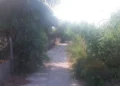 Pista ciclabile tra Marina di Modica e Sampieri con vegetazione incolta e sterpaglie.