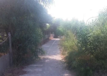 Pista ciclabile tra Marina di Modica e Sampieri con vegetazione incolta e sterpaglie.