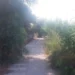 Pista ciclabile tra Marina di Modica e Sampieri con vegetazione incolta e sterpaglie.