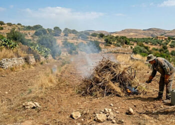Terreno agricolo a Ragusa interessato dall’ordinanza incendi comunale