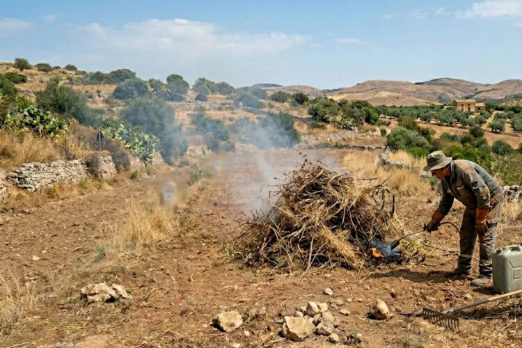 Terreno agricolo a Ragusa interessato dall’ordinanza incendi comunale