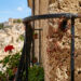 Ragusa ragnetti rossi su balcone assolato durante la primavera