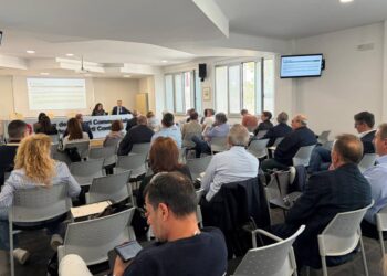 Corso su Ragusa revisione legale nella sede Odcec
