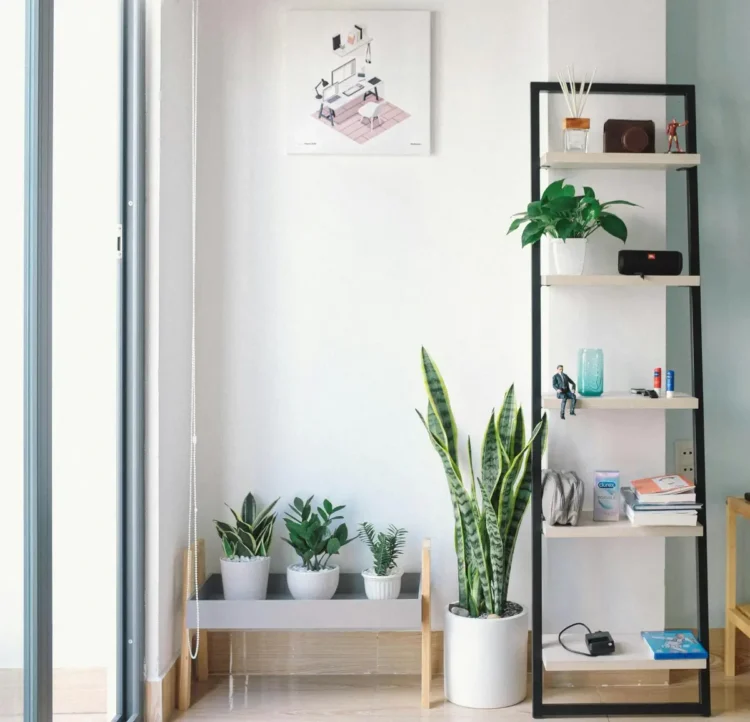 Interno di una casa ordinata con mobili multifunzionali e luce naturale