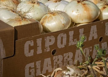Il progetto Sapori d'Ibleide ottiene 19.800 euro dalla Regione. Anche a Giarratana per la sagra della cipolla Monterosso Almo