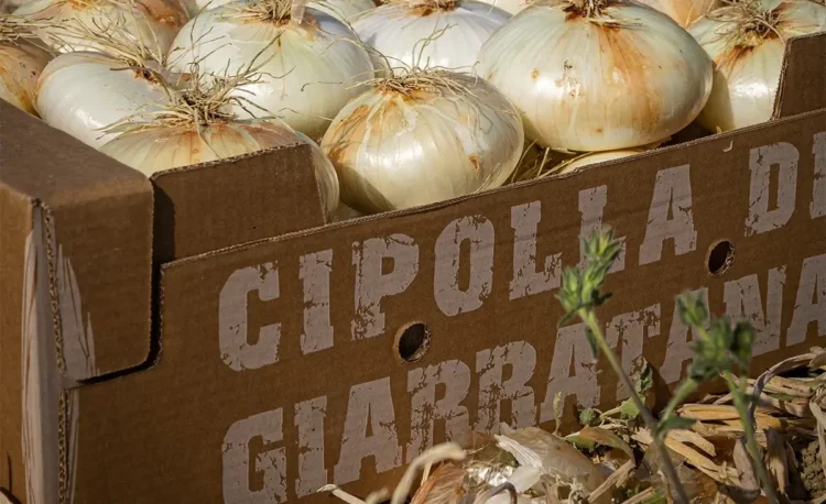 Il progetto Sapori d'Ibleide ottiene 19.800 euro dalla Regione. Anche a Giarratana per la sagra della cipolla Monterosso Almo