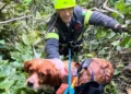 Vigili del Fuoco impegnati in un intervento di soccorso tecnico in un dirupo a Ragusa