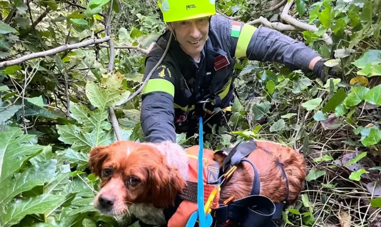 Vigili del Fuoco impegnati in un intervento di soccorso tecnico in un dirupo a Ragusa