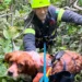 Vigili del Fuoco impegnati in un intervento di soccorso tecnico in un dirupo a Ragusa