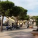 Veduta di piazza Cavour a Scoglitti con alberi, panchine e persone presenti nell'area urbana durante il giorno