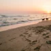 albergatrice aggredita cani Scoglitti spiaggia soccorsi Riviera Gela